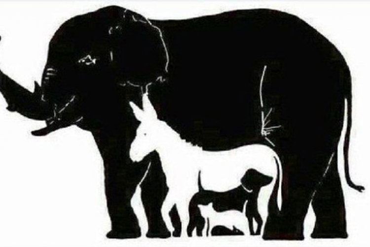 Koliko životinja vidite na slici?