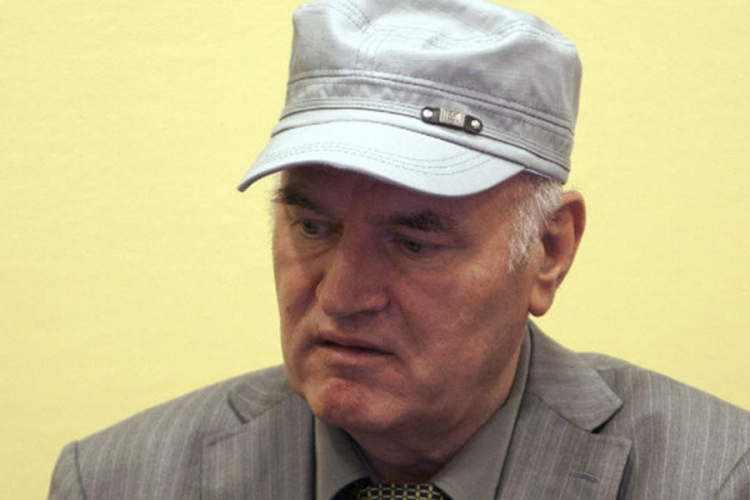 Tužilaštvo iznosi završne riječi na suđenju Ratku Mladiću