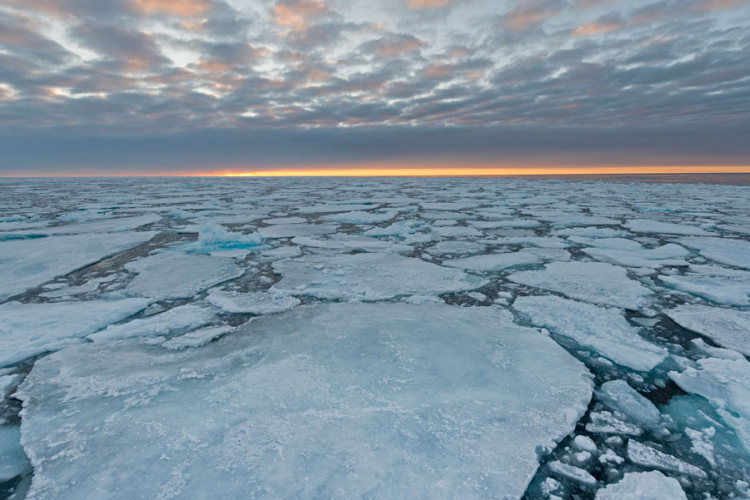 Led na Arktiku na najnižem nivou u posljednjih 38 godina