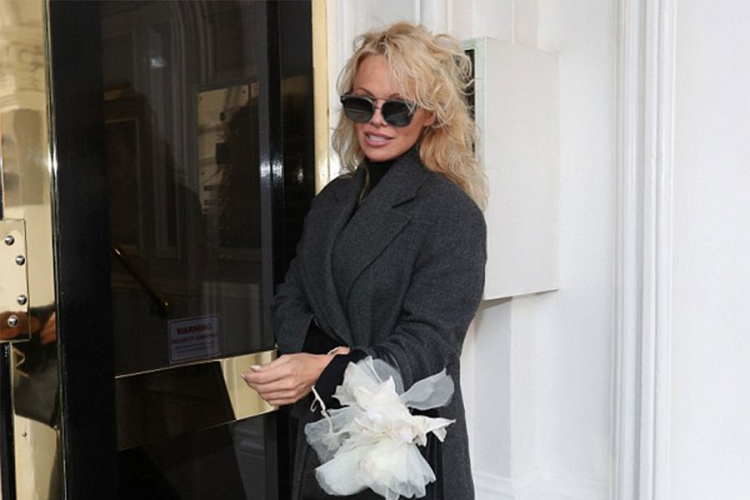 Pamela Anderson ponovo kod Asanža