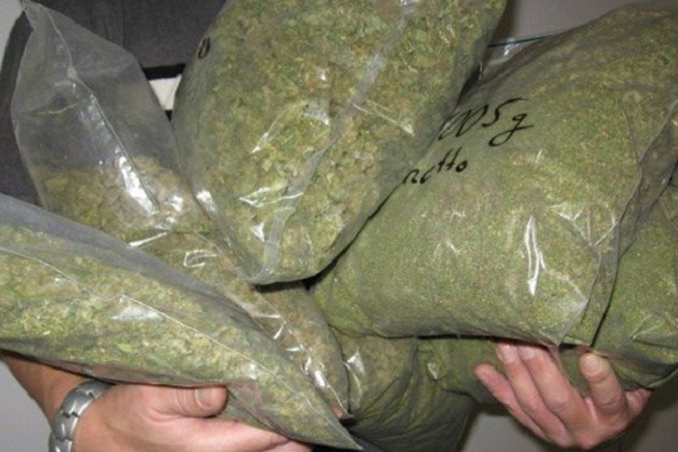 Zaplijenjeno 900 kilograma marihuane