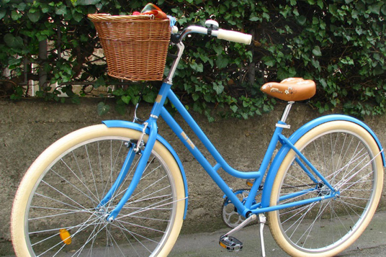 Vic dana: Hasin novi bicikl