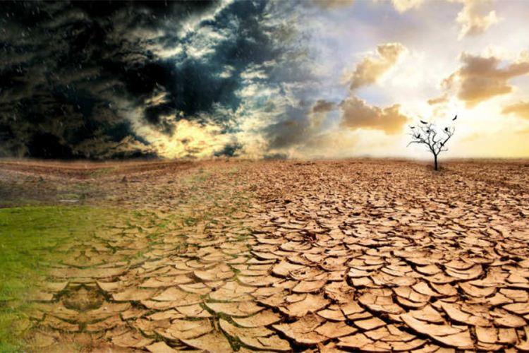 84 odsto ljudi smatra da su klimatske promjene katastrofalna opasnost