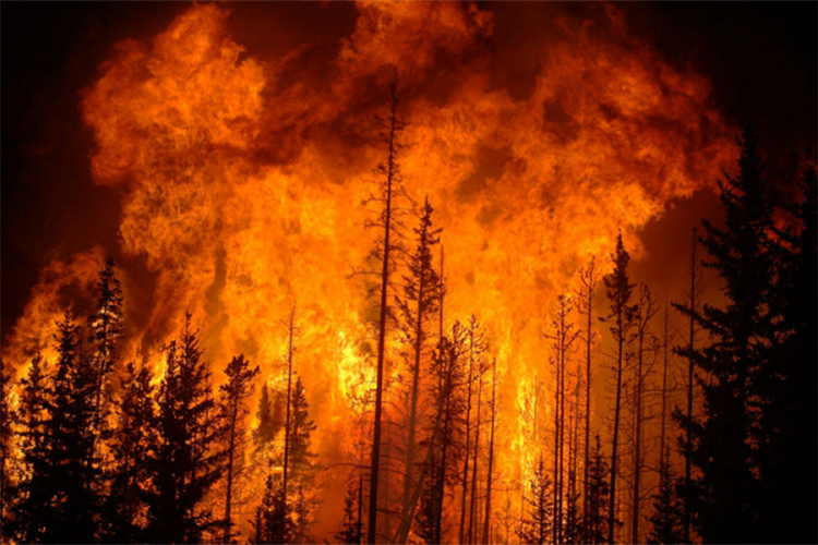 U požarima u Sibiru izgorjele 171 kuće