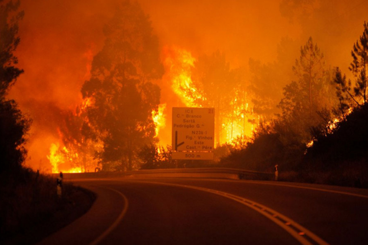 Požar u Portugalu usmrtio 57 ljudi, većina izgorjela u automobilima