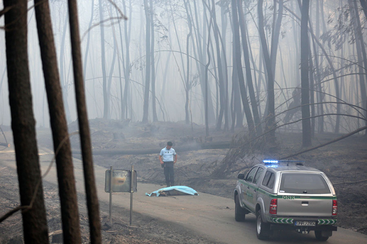 Trodnevna žalost u Portugalu, 62 žrtve požara