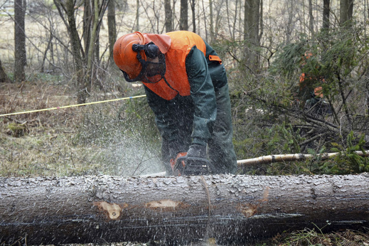 Tri drvoprerađivača ostaju bez ugovora