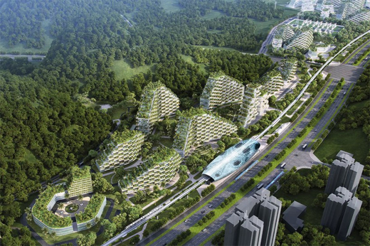 Kina gradi "šumski grad"