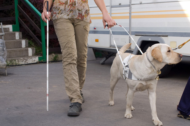 Samo jedna slijepa osoba u RS ima psa vodiča