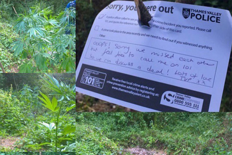 Policajci uzgajivačima marihuane ostavili šaljivu poruku