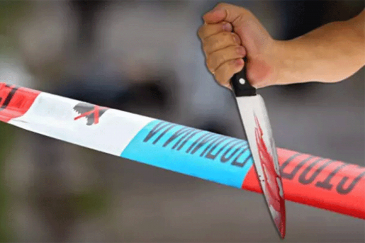 Užas u Banatskom Karlovcu: Nožem ubio ženu, pa sebi presudio