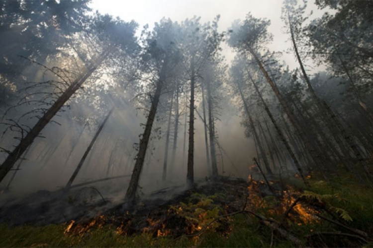 Požar u Koštunićima stavljen pod kontrolu