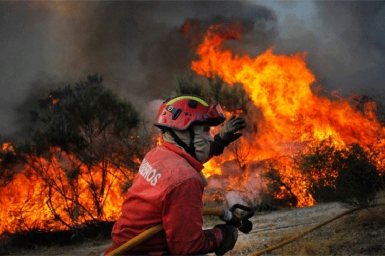 Izbili novi požari u Portugalu, gasi ih 2.000 vatrogasaca