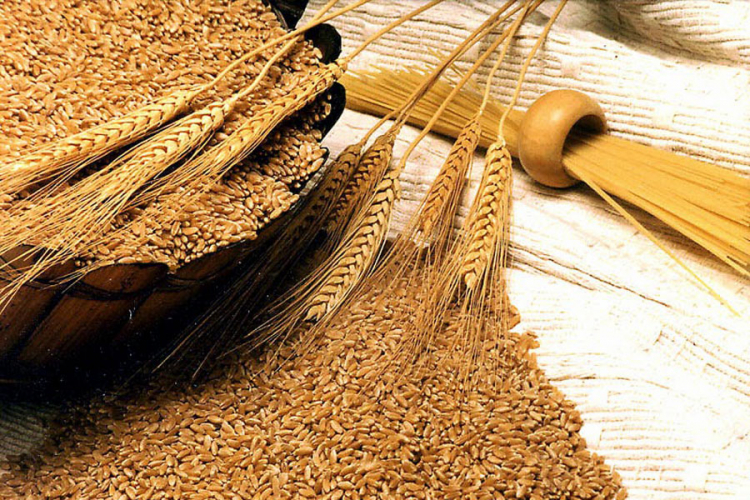Mirjanić: Država ne može da određuje cijenu pšenice