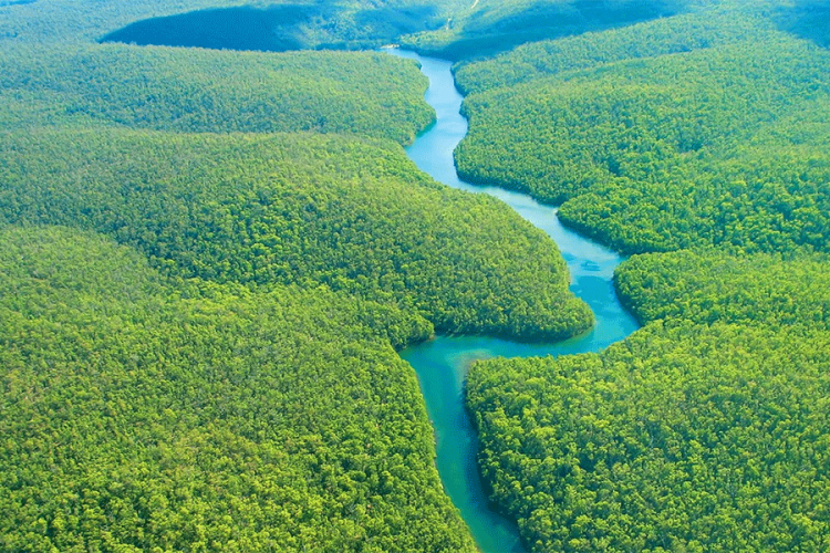 Smanjuje se zaštićeni rezervat u Amazoniji