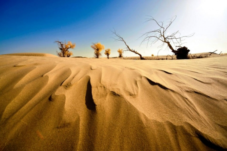 Španija do 2090. godine postaje pustinja?