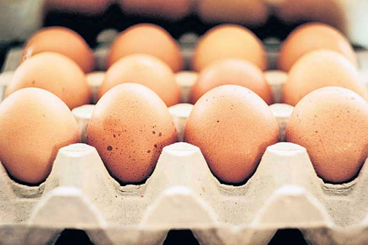 Panika u sedam zemalja zbog skandala sa jajima