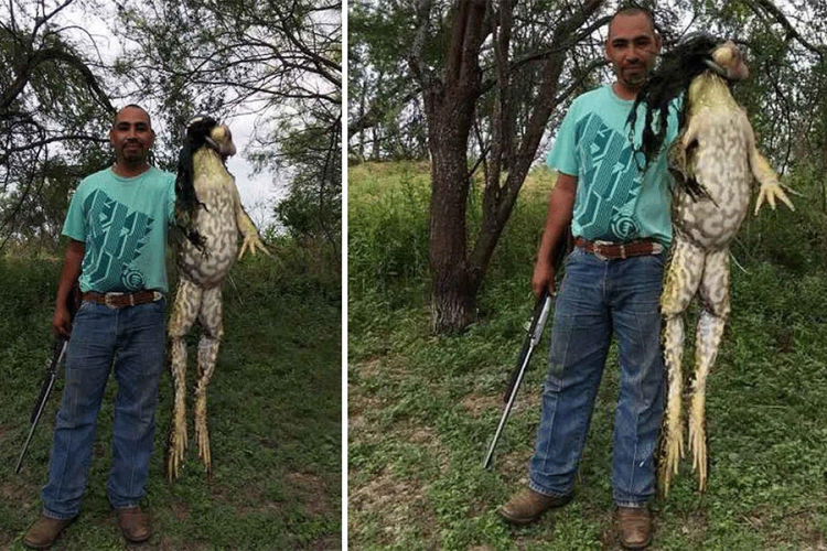 Lovac iz Teksasa ulovio ogromnu žabu