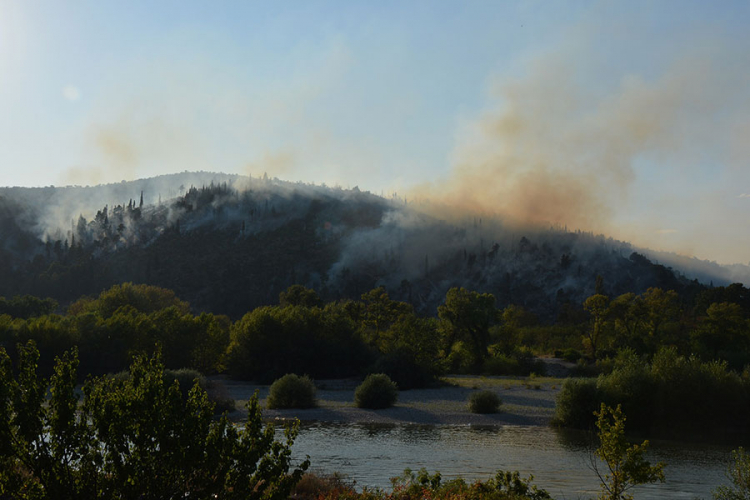Svi požari u Čapljini ugašeni, požarište na području Dretelja pod kontrolom