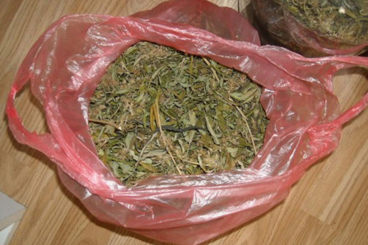 Zaplijenjeno više od 10 kilograma indijske konoplje u Kozluku