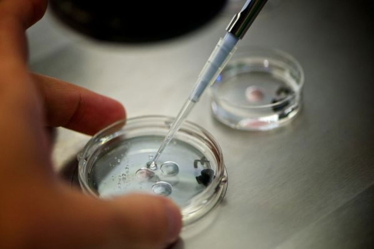 Kinezi izveli genetsku izmjenu na ljudskom embrionu
