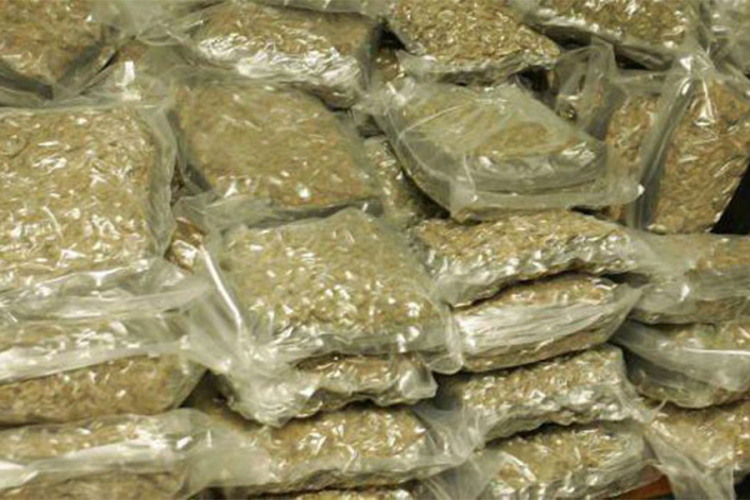 Više od 500 kilograma marihuane pronađeno u Pelagićevu