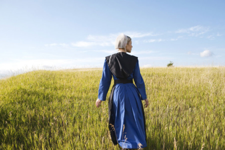 Naučnici tvrde da su otkrili zašto Amiši žive duže