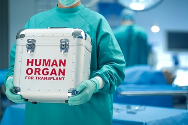 FBiH dobila novi Zakon o transplantaciji organa i tkiva