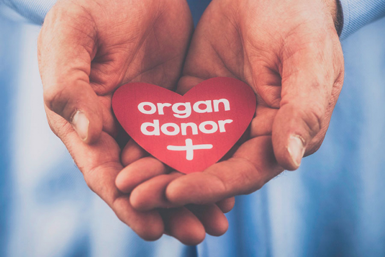 Izmijenjeni Zakon o transplantaciji FBiH: Svako je donor organa, ali uz pristanak najbližih