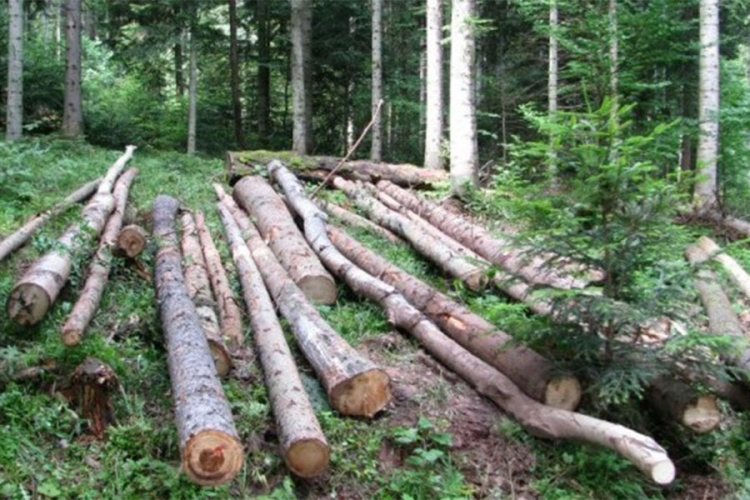 Prihod od naknada za korištenje šuma 450.000 KM