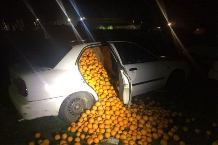 U Španiji lopovi ukrali četiri tone naranči