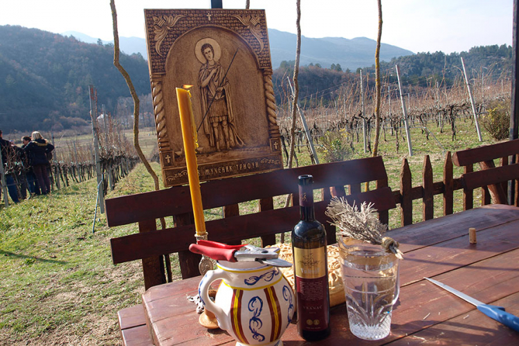 Sveti Trifun u vinogradima "Vukoje"