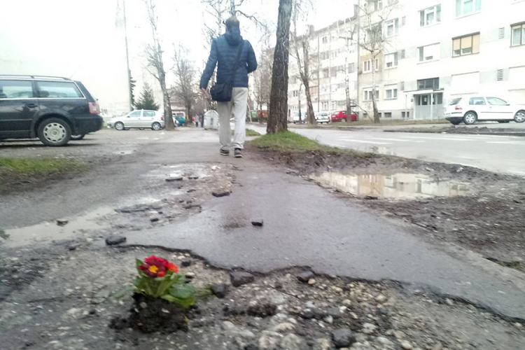 Cvijećem "zakrpili" rupe u trotoaru u Banjaluci