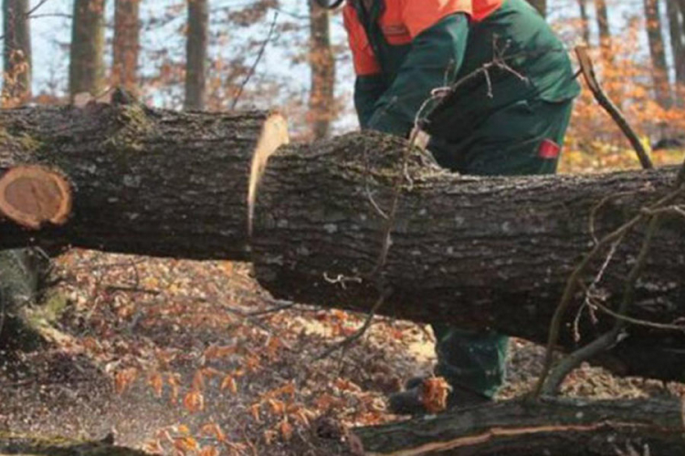 Fočak teško povrijeđen prilikom sječe drva