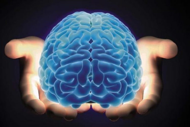 Da li mozak može da se regeneriše?