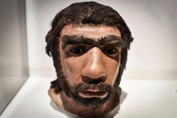 Neandertalci imali velike noseve, trebalo im je više vazduha