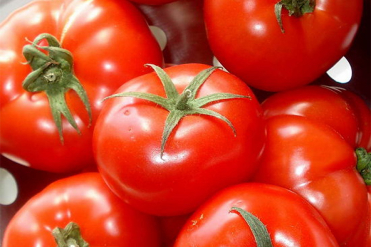 Otrovni paradajz na tezgama u Beogradu