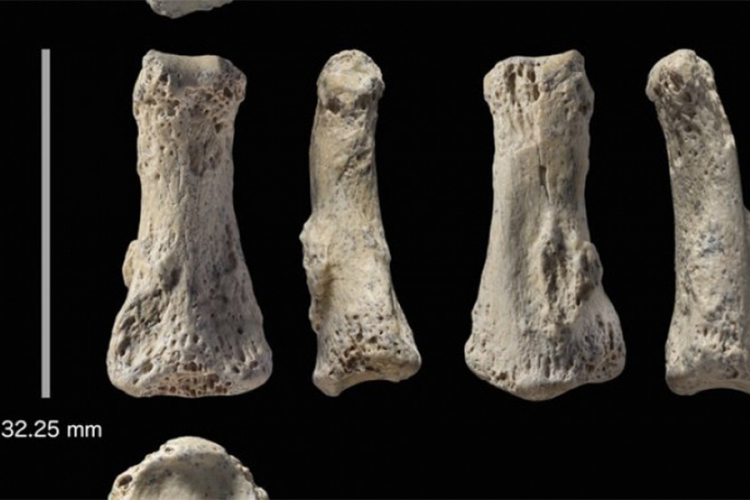 U Saudijskoj Arabiji pronađena ljudska kost stara 85.000 godina