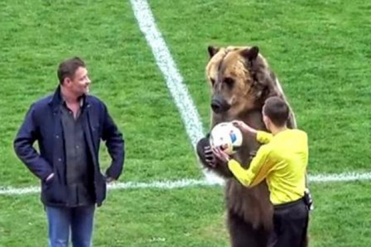Medvjed na otvaranju utakmice u Rusiji