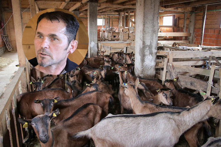 Napustio karijeru u Italiji i vratio se u BiH da uzgaja koze