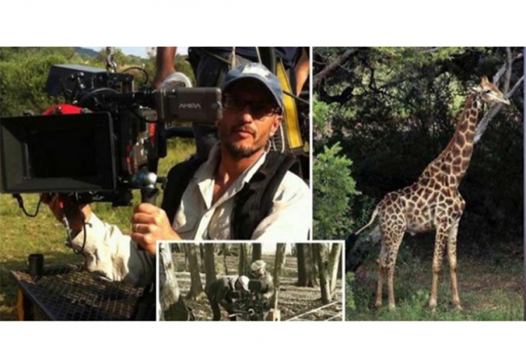 Žirafa usmrtila filmskog režisera tokom snimanja