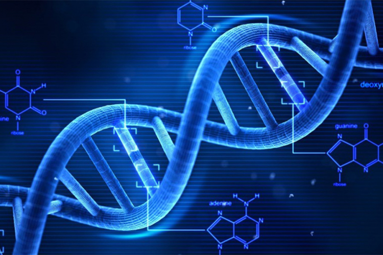 Supružnici često imaju sličan DNK