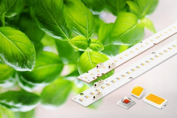 Samsung objavio LED koji poboljšava rast biljaka