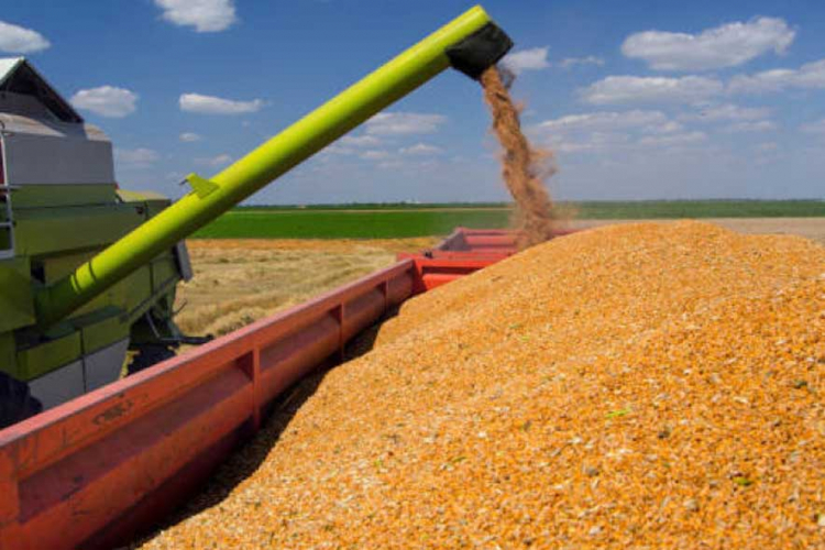 Žito iz Srbije će se izvoziti preko luke Bar