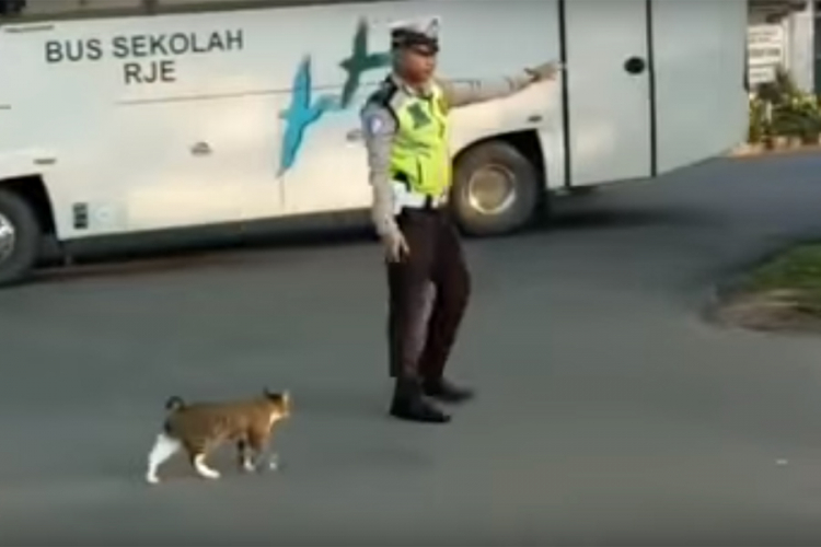 Policajac zaustavio saobraćaj da mačka pređe ulicu