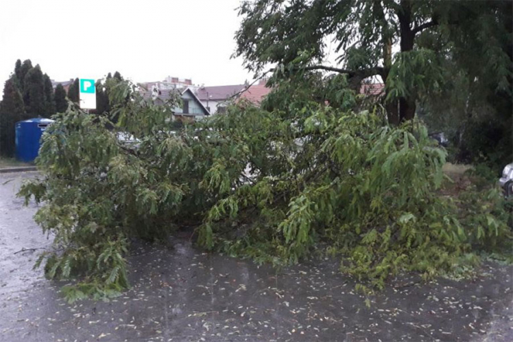 Nevrijeme u Zagrebu i okolini, oluja rušila drveće