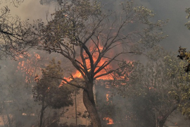 Bilans požara u Grčkoj: 91 poginuo, 25 nestalo