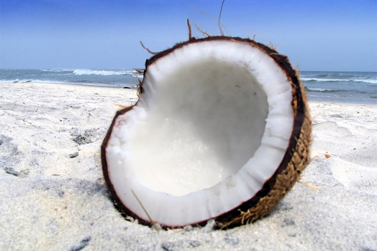 Kom tipu kože ne odgovara kokosovo ulje