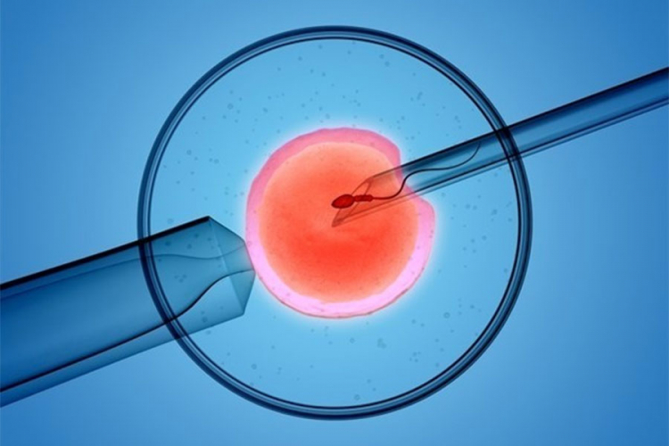Naučnici korak bliže vještačkom embrionu
