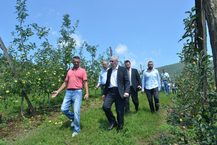 Mirjanić: Vidljiva ogromna šteta na voćnjacima u Prijedoru